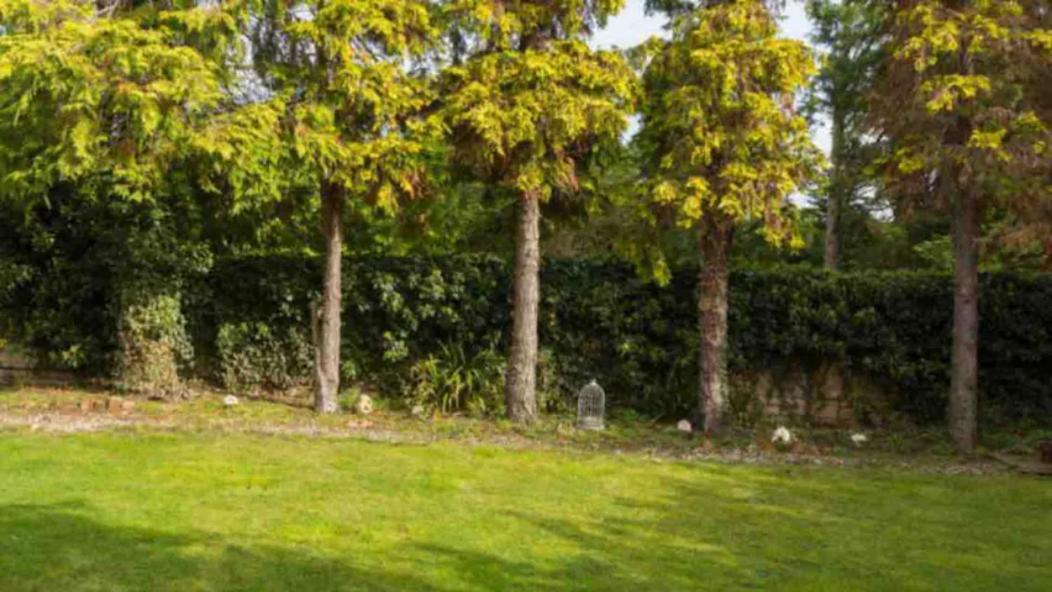 Piglet Cottage Pebworth Dış mekan fotoğraf