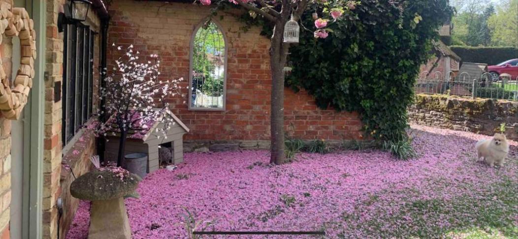 Piglet Cottage Pebworth Dış mekan fotoğraf